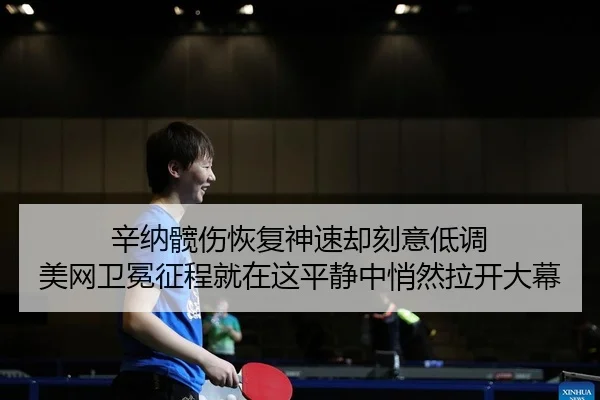 辛纳髋伤恢复神速却刻意低调 美网卫冕征程就在这平静中悄然拉开大幕